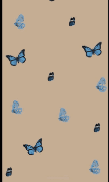 a pattern of blue butterflies on a tan background .