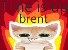 a picture of a cat with the words time is up brent on it