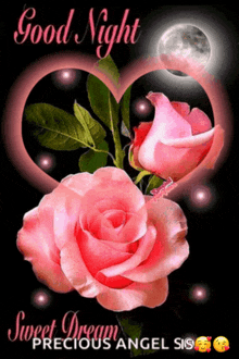 a good night card with pink roses and a heart