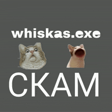 a cat with its mouth wide open and the words whiskas.exe ckam below it