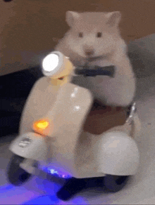 a hamster is riding a toy scooter with a light on it .