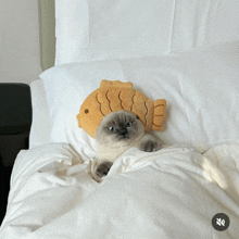 a cat laying on a bed with a fish pillow