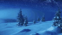 a snowy landscape with trees in the foreground and a starry night sky in the background