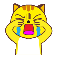 a yellow cat is crying with tears running down its face