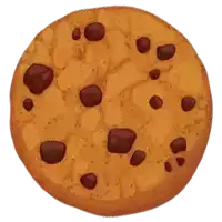 a brown cookie with chocolate chips on it