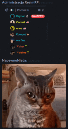 a screenshot of a chat with a cat and the words administracja realmrp at the top