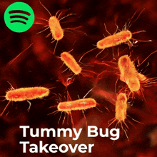 a poster for tummy bug takeover with a green spotify logo