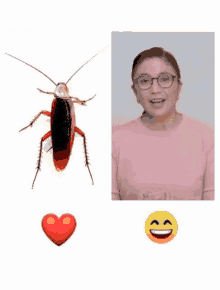 a picture of a cockroach next to a picture of a woman with glasses and a heart emoji .