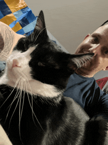 a black and white cat laying on a man 's chest