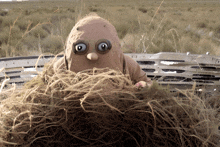 a cartoon character with big eyes is hiding behind a bunch of hay