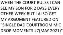 when the court rules i can see my son for 2 days every other week