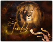 a picture of a lion with the words lion of judah