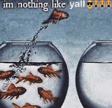 a painting of a fish jumping out of a bowl with the words im nothing like yall