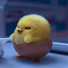 a small yellow chicken is sitting in a pink egg shell