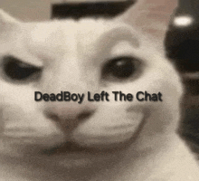 a close up of a cat with the words deadboy left the chat written on it