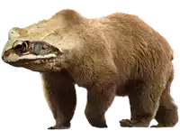 a brown bear with a frog 's head on its back