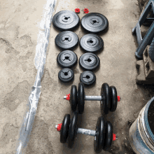 a bunch of dumbbells and plates on a concrete surface