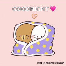 a cartoon of two bears wrapped in a blanket with the words " goodnight " above them