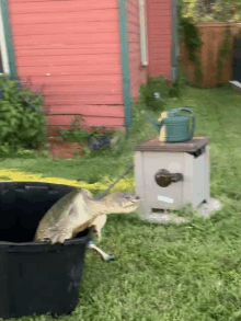 a turtle is sitting in a black bucket in a yard .