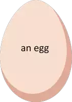 a brown egg with the word an egg on it