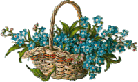 a wicker basket filled with blue flowers and green leaves on a white background