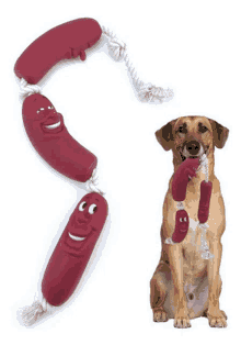 a dog is chewing on a toy that looks like a sausage