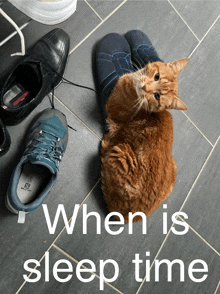 a cat laying on a pair of shoes with the words " when is sleep time " below it