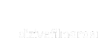 a white background with the words dizive filmarsi written in black