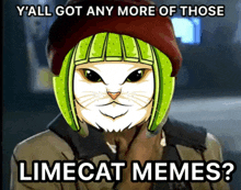 a picture of a cat wearing a green hat with the caption y all got any more of those limecat memes