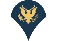 a blue emblem with a gold eagle and leaves on it