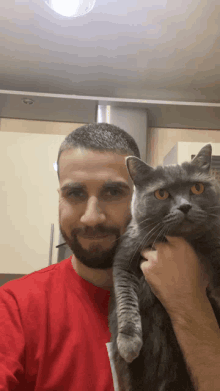 a man in a red shirt holds a gray cat in his arms