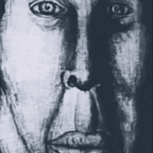 a black and white drawing of a man 's face with a horse 's head behind it .