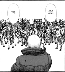 a man stands in front of a herd of zebras with a caption that says to the boys