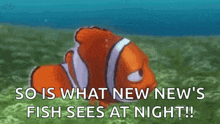 a clown fish is swimming in the water with the words `` so is what new new 's fish sees at night ! ''