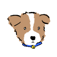 a brown and white dog is wearing a blue collar