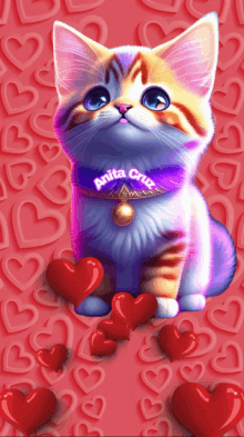 a cat with anita cruz written on its collar is surrounded by red hearts