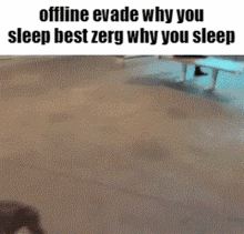 a gif that says offline evade why you sleep best zerg why you sleep .