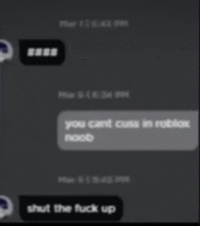 a screenshot of a text message that says you cant curse in roblox noob