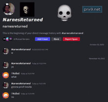 a screenshot of narnesreturned 's direct message history with priv9.net