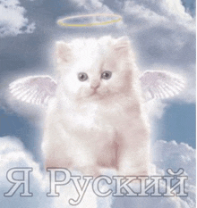 a white kitten with angel wings and a halo on its head is sitting in the clouds