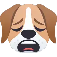 a brown and white dog with its eyes closed and a sad expression on its face