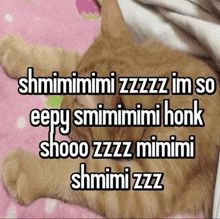 a cat is laying on a pink blanket and says shmimimimi zzzz im so eepy smimini honk