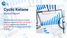 a market report for cyclic ketone shows a calculator and a magnifying glass