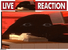 a cartoon character with big eyes is sitting at a counter in a restaurant with a sign that says `` live reaction '' .