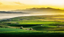 a green field with mountains in the background at sunset