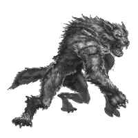 a black and white drawing of a werewolf standing on a white background .