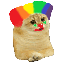 a cat wearing a rainbow hat and a clown nose