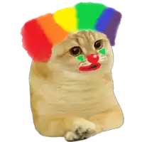 a cat wearing a rainbow hat and a clown nose