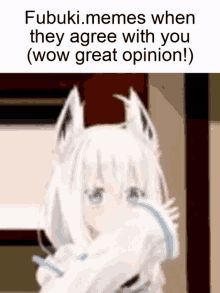 fubuki memes when they agree with you ( wow great opinion ) .