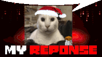 a picture of a cat wearing a santa hat and the words my response below it